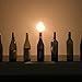 Firefly Wine Bottle Oil Lamp Conversion Kit - 3/8