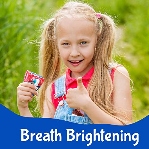 Ice Breakers Ice Cubes Gum 4 Pack Limited Edition Snow Cone Sugar