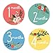 Design Corral Floral Monthly Stickers For Baby - Baby Monthly Stickers - Baby Girl