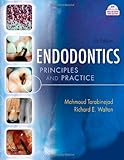 Endodontics:Principles and Practice, 4e Endodontics:Principles and Practice, 4e