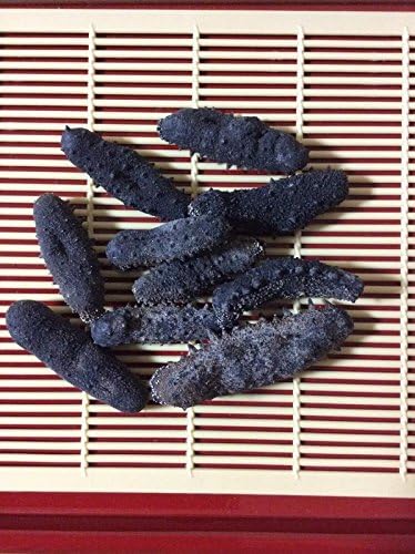 Amazon 関西産 純淡干海参 500g入 16g以上 大サイズ B級品 東成なまこや 塩辛 珍味 通販