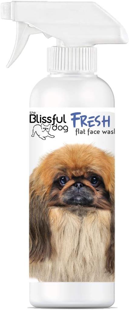 sawdays dog friendly