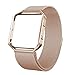 Fitbit Blaze Bands with Frame Metal Small Large ( 5