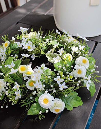 bellis muñecas amazon