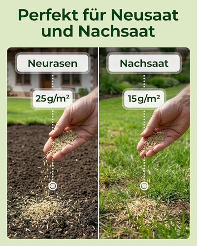 Rasensamen Schnellkeimend Frühjahr – TEST SEHR GUT – Grassamen Schnellkeimend für Rasen & Rasen Nachsaat 1kg 40qm – Rasensaat für Nachsaat Rasen Frühjahr, Saisonstart, kräftiges Wachstum 9
