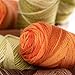 Caron (3 Pack Simply Soft 100% Acrylic Soft Gold Orange Yarn for Knitting Crocheting Medium #4