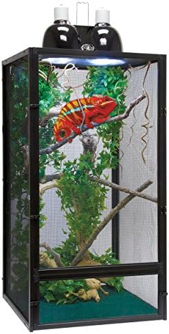 chameleon starter kit amazon