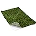 Byher Dried Moss Mat for Wedding Birthday Party Fairy Garden Decorations, Dark Green (14