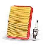 Champion Power Equipment 100372 8.5K watt Home Standby Generator Maintenance Kit