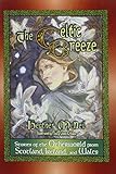 The Celtic Breeze: Stories of the Otherworld from Scotland, Ireland, and Wales (World Folklore (Hard by Heather McNeil, Nancy Chien-Eriksen