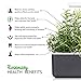 Click and Grow Smart Garden Rosemary Plant Pods, 3-Pack