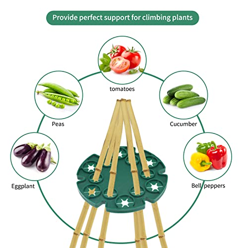 KINGLAKE 6 Pcs Bamboo Cane Holder Plastic Plant Cane Support Caps for Climbing Plants Sweet Peas