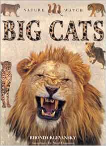 Big Cats (Nature Watch): Klevansky, Rhonda: 9781859676387: Amazon.com