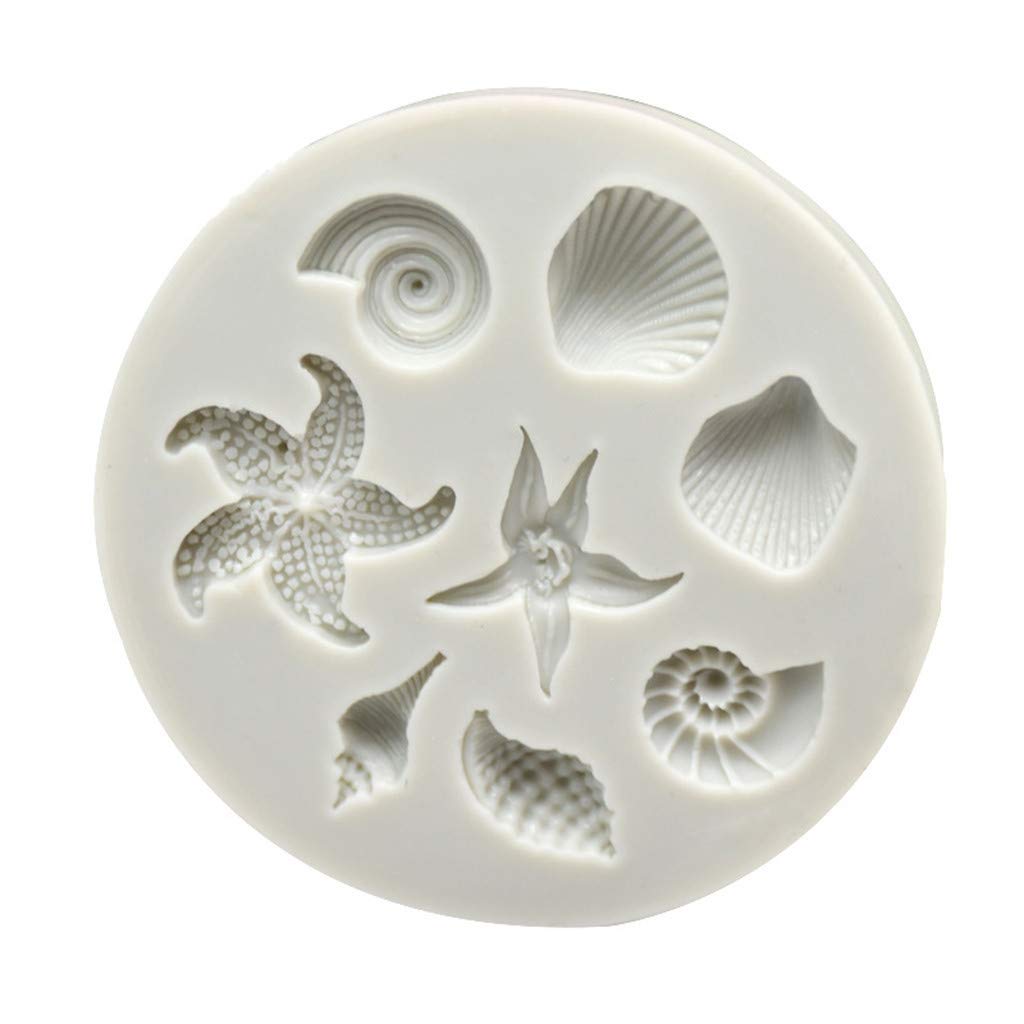 Amazon Com Yu2d Diy Sea Creatures Conch Shell