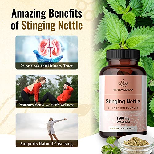 HERBAMAMA Stinging Nettle Root Capsules Organic Stinging Nettle Root