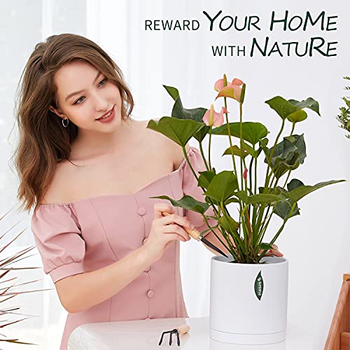 Plant Pot Set of 2 Ceramic Planter for Indoor Plant, 7" & 8" Matte