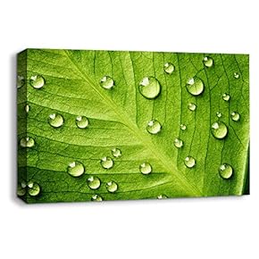 Canvas Wall Art Leaf Veins Pictures Home Wall Decorations for Bedroom Living Room Paintings Canvas Prints Framed - 12x18 inches