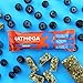 OATMEGA Protein Bar, Blueberry, Energy Bars Made with Omega-3 and Grass-Fed Whey Protein, Healthy Snacks, Gluten Free Protein Bars, Whey Protein Bars, Nutrition Bars, 1.8 Ounce (12 Count)thumb 1