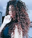 RunM Long Curly Lace Front Wigs For Black Women Ombre Brown Glueless Heat Resistant Synthetic Lace Front Wig Curly