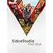 Corel VideoStudio Pro 2019 - Video Editing Suite [PC Download] [Old Version]