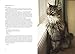 A Letter to My Cat: Notes to Our Best Friends
