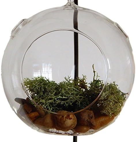 GLASS TERRARIUM, FAIRY GARDEN,OR TEALIGHT HOLDER BUNDLE WITH STAND, PEBBLES AND MOSS (clear)