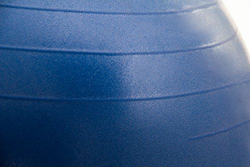 Fitness Republic 55cm Stability Ball Blue with Pump (Exercise Ball / Gym Ball) - Thumbnail 2