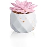 ZENIDA Artificial Succulent Plants in 1 White Ceramic Pots, Cute Fake Plants for Vanity Decor, Office, Desk, Bathroom, Kitchen, Bedroom, Shelves Decor for Women, Girls Gift