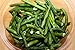 8 Oz Green Bean Chips