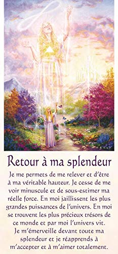 Messages De Vie 54 Cartes Duguay Mario Amazon Com Books