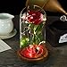 YSBER Artificial Flower Beauty & The Beast Colorful Rose and LED Light in Glass Dome on a Wooden Base for Lover, Mother, Girlfriend. (Warm White Light Rose Shade)