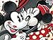 Ceaco Disney Classic Disney 5 in 1 Multipack Jigsaw Puzzles, (2) 300 Pieces, (2) 550 Pieces, (1) 750 Pieces