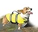 Paws Aboard Dog Life Jacket - Keep Your Canine Safe with a Neoprene Life Vest for Swimming and Boating - Available in Different Sizes, Color and Design to Choose - Neon Yellow, Small