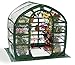 Flower House FHSP300CL SpringHouse Greenhouse, Clear