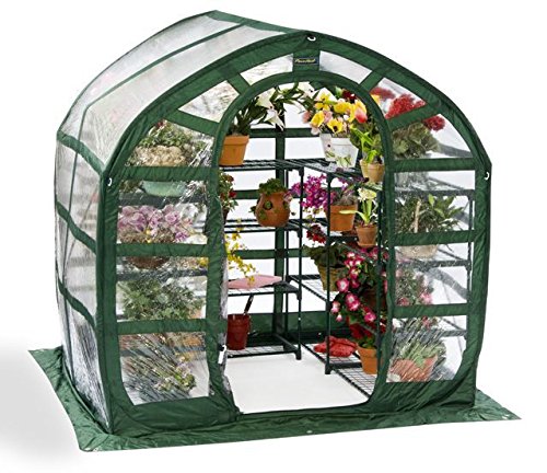 Flower House FHSP300CL SpringHouse Greenhouse, Clear