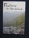 Feathers in the wind: The mountain and the migration