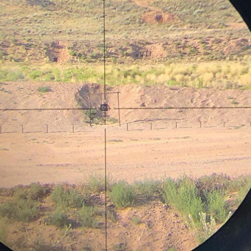 S2Delta 1-4X24 Carbine Scope, Red Dot Scope, Illuminated 5.56 BDC Reticle, 30mm Main Tube, SFP, Capped Turrets