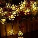Vmanoo Battery Operated Timer String Lights 50 LED Blossom Flower Fairy Christmas Lighting Decor For Outdoor, Indoor, Garden, Patio, Bedroom Wedding Decorations (Warm White)