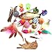 Cat Toys for Indoor Cats,23Pcs Cat Toys set,Kitten Toys Assortments,Interactive Cat Toys ,Cat Toys Feather,Catnip Fish,Matatabi Chew Sticks,Cat Wand,Mice,Crinkle Balls,Bells,Scratching Toys