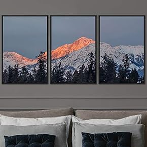 signwin 3 Piece Framed Canvas Wall Art Snow...