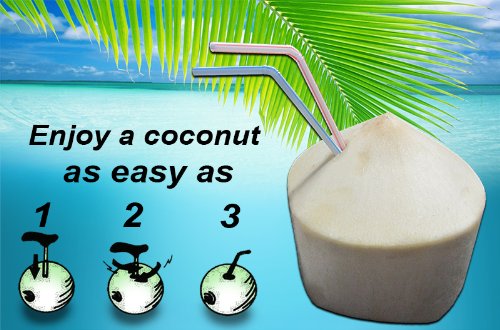 1 X Haidragon Coconut Knife