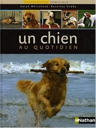 Un  chien au quotidien