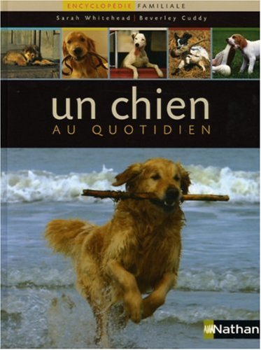 Un  chien au quotidien