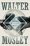 Inside a Silver Box: A Novel