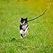 OFPUPPY Tie Out Leash & Stake with Corkscrew for Cats 26ft - Great for Outside or Garden and Running for Yard，Suitable for Harness，Cable for Cats & Puppy Dogs,Freedom and Lightweight