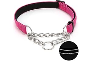 Martingale Dog Collar with Stainless Steel Chain, Adjustable Soft Padded Nylon Reflective Collar, No Pull Heavy Duty Chain Wa