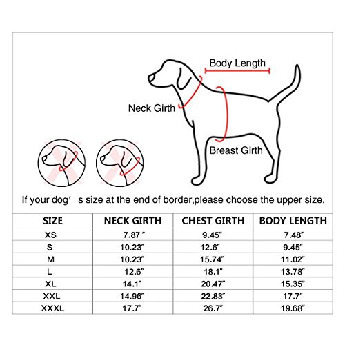 BINGPET SECURITY Dog Shirt Summer Clothes for Pet Puppy Tee shirts Dogs Costumes Cat Tank Top Vest-Medium