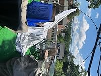 Review Image by P.B.