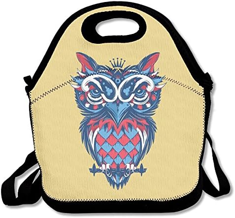 Owl Art Lunch Bag Tote Soft Lunch Box Reusable Insulated Handbag For Women,Girls,Kids