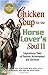 Chicken Soup for the Horse Lover's Soul II: Tales of Passion, Achievement and Devotion (Chicken Soup by Jack Canfield, Mark Victor Hansen
